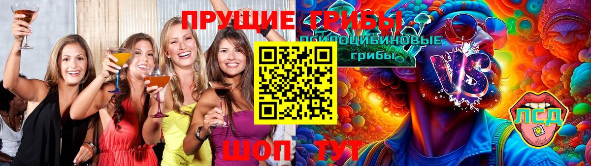 Галлюциногенные грибы Cubensis Хабаровск