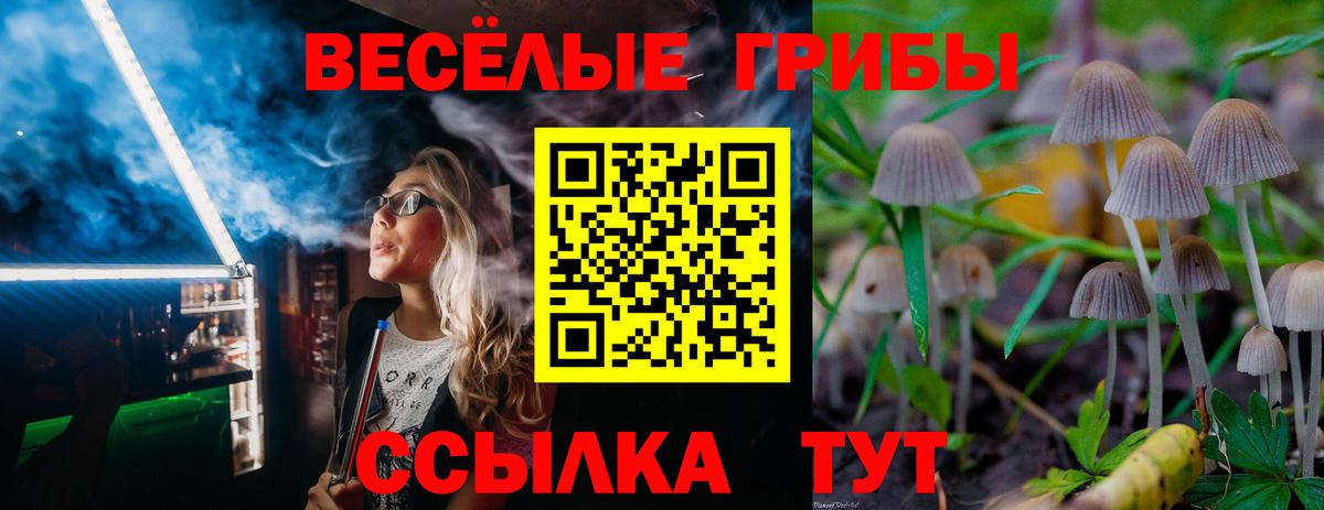 Галлюциногенные грибы Magic Shrooms  Вход с VPN  как найти закладки  Хабаровск 